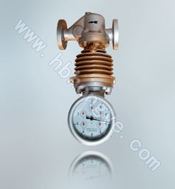 泊頭儀表廠分流旋翼式蒸汽流量計(jì),廠家直銷,流量計(jì)價(jià)錢(qián)高清圖片 高清大圖