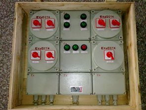 時(shí)間繼電器按鍵防爆儀表箱